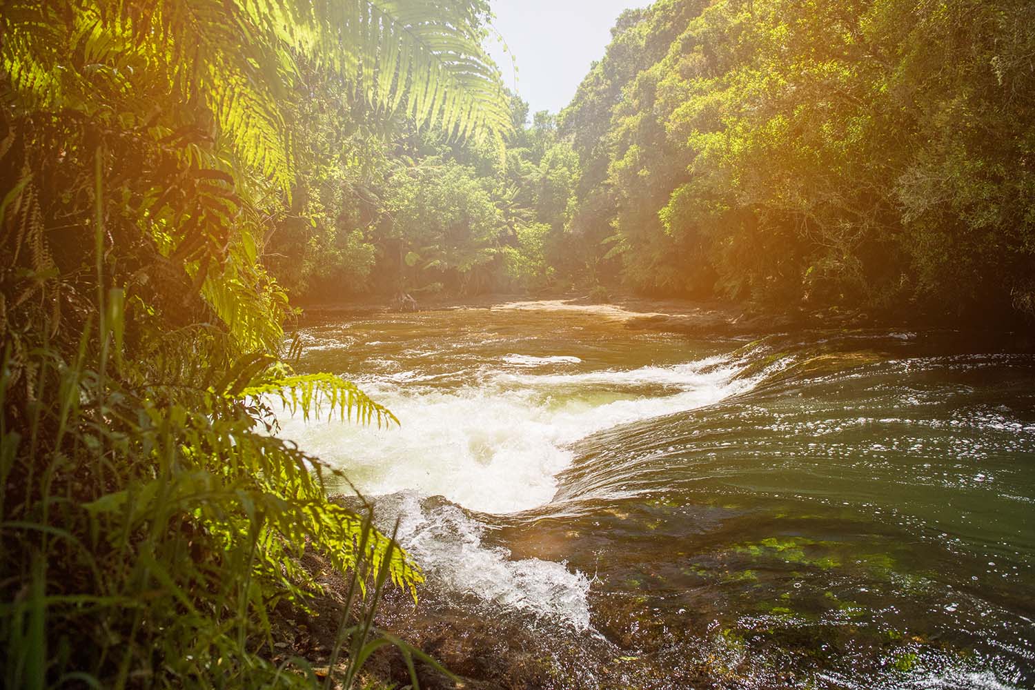 Te Hāpai Ora – Regional Community Outcomes Fund We consider all applications for sponsorship and assess each application against a few criteria, in support o...