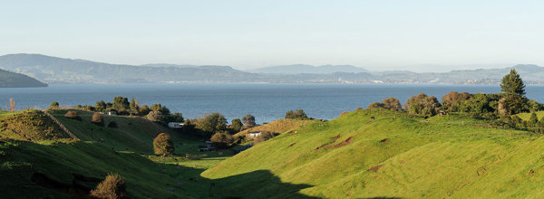rotorua view