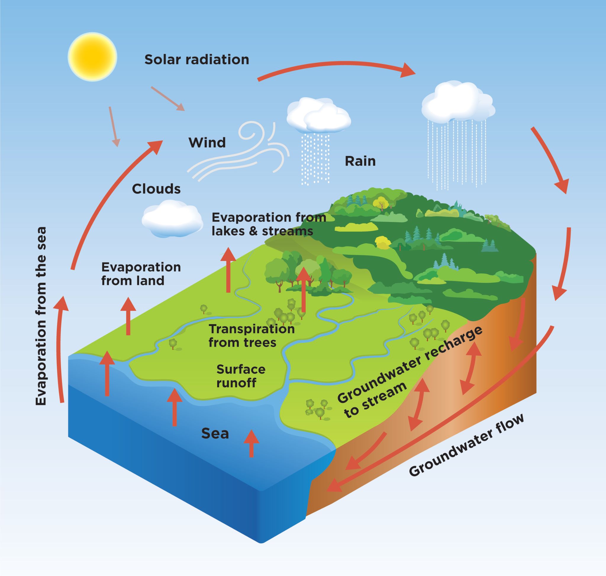 Graphic of groundwater flow cycle
