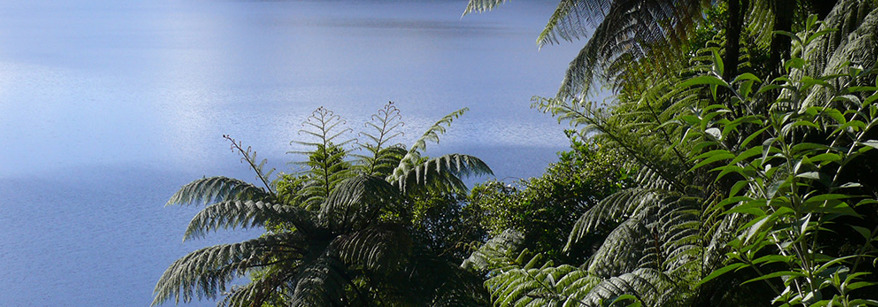 Lake Rotoma