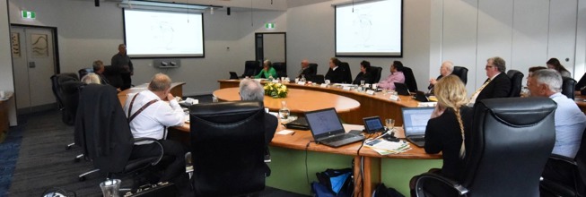 Council committee