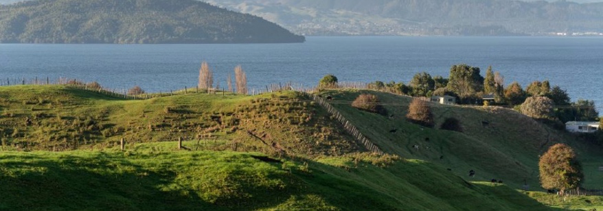 Lake Rotorua