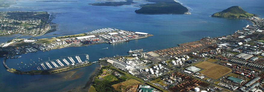tauranga harbour