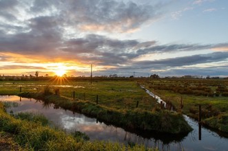 Waihi Estuary