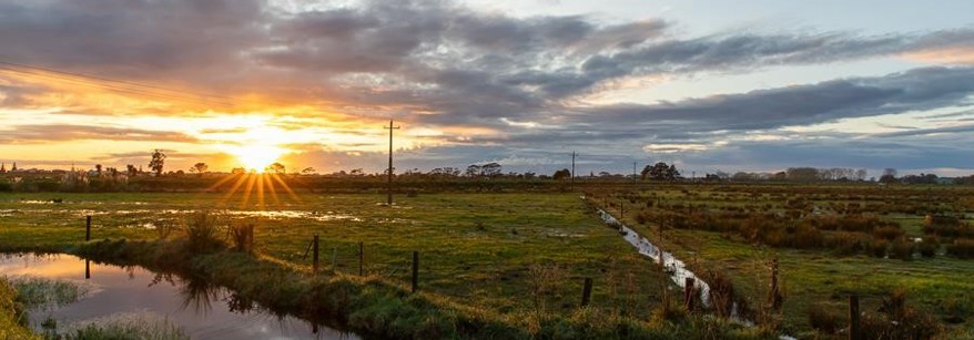 Waihi Estuary