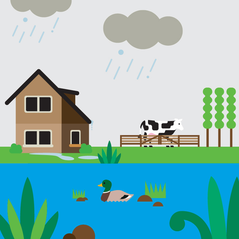 House by a river graphic