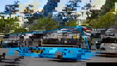 bus
