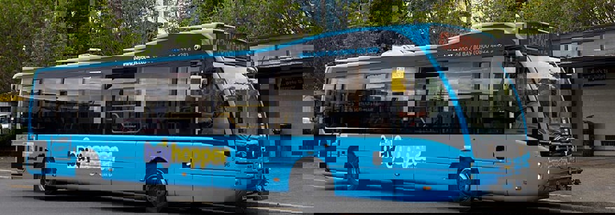 bus