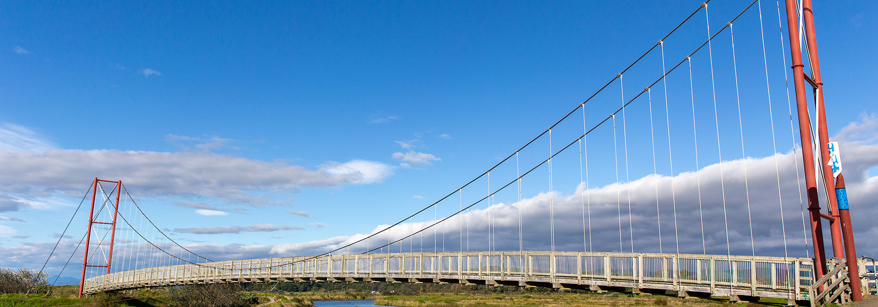 Opotiki Otara River Motu Trail Bridge