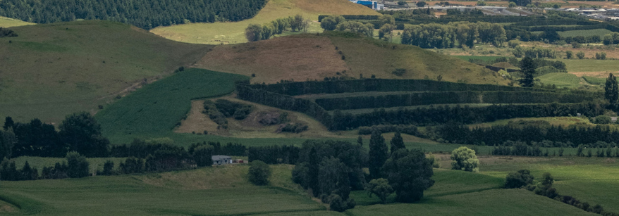 rural landscape