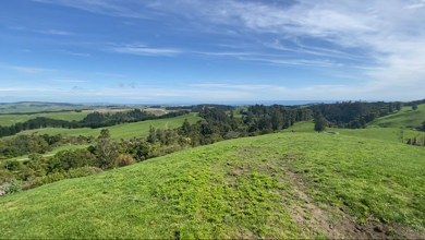 Mountfort farm