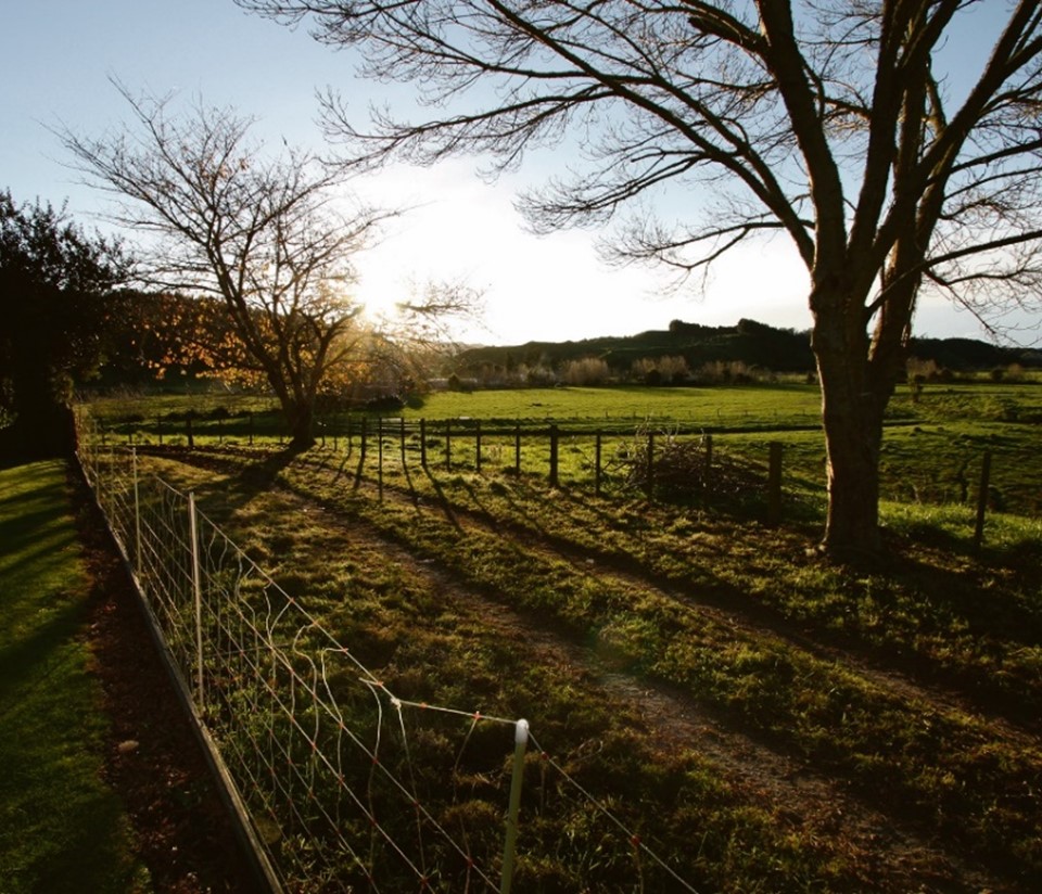 rural land