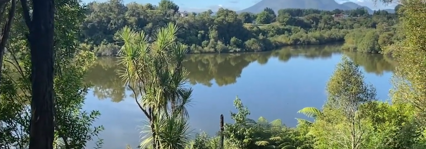  Onepū Community Park wetlands