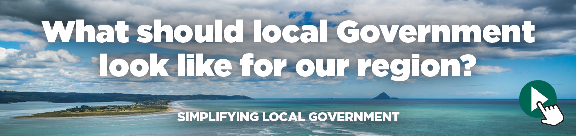 Simplifying Local Government