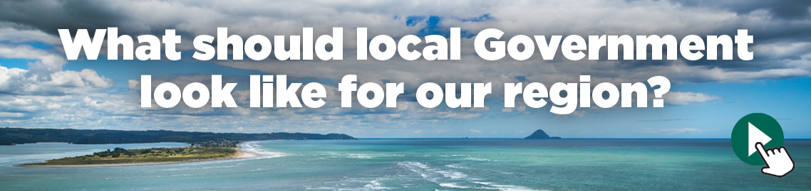 Simplifying Local Government