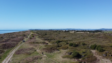 Thornton kānuka forest 