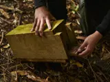 Pest control trap