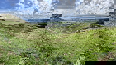 Whakapoungakau Lands Trust